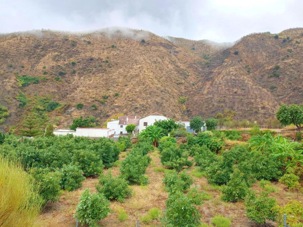 El Aljibe Rural Albunol